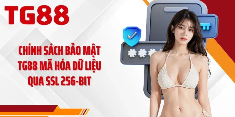 Chính sách bảo mật TG88 mã hóa dữ liệu qua SSL 256-bit